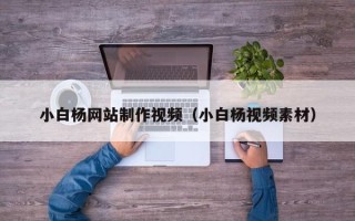 定边小白杨网站制作视频（小白杨视频素材）
